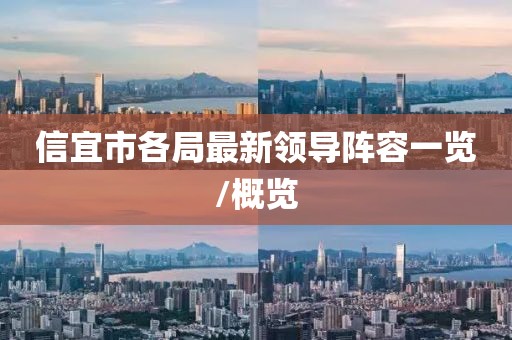 信宜市各局最新领导阵容一览/概览