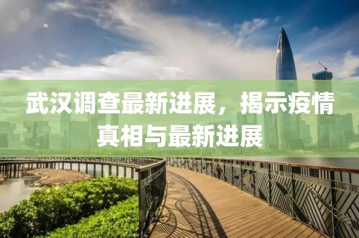 武汉调查最新进展，揭示疫情真相与最新进展