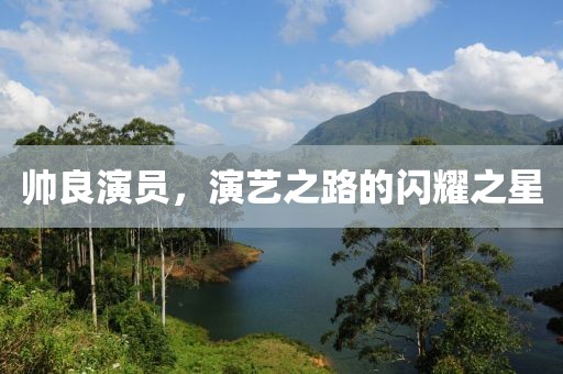 帅良演员，演艺之路的闪耀之星