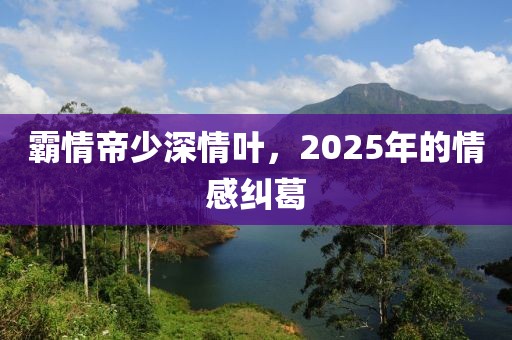 霸情帝少深情叶，2025年的情感纠葛