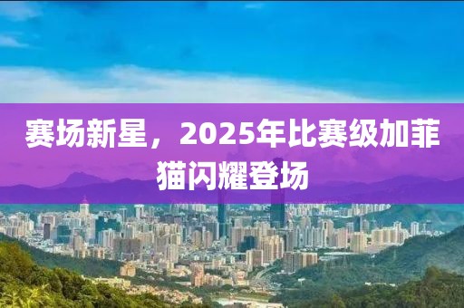 赛场新星，2025年比赛级加菲猫闪耀登场