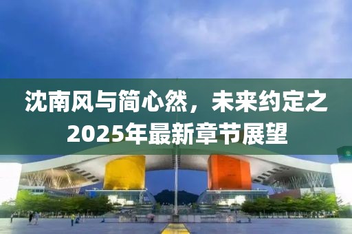 沈南风与简心然，未来约定之2025年最新章节展望