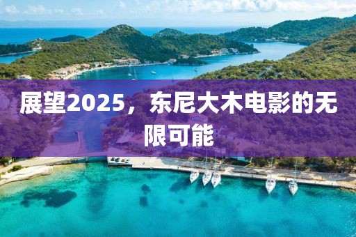 展望2025，东尼大木电影的无限可能