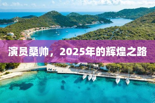 演员桑帅，2025年的辉煌之路