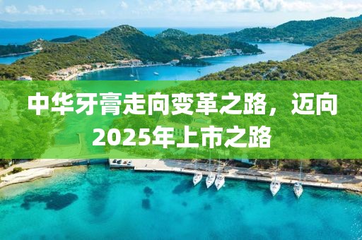 中华牙膏走向变革之路，迈向2025年上市之路