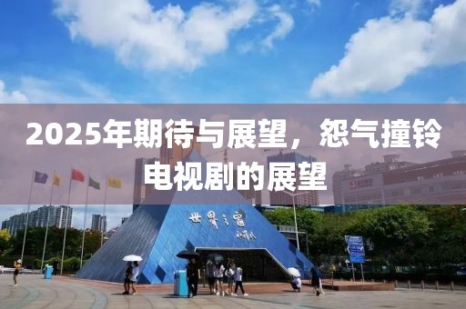 2025年期待与展望，怨气撞铃电视剧的展望