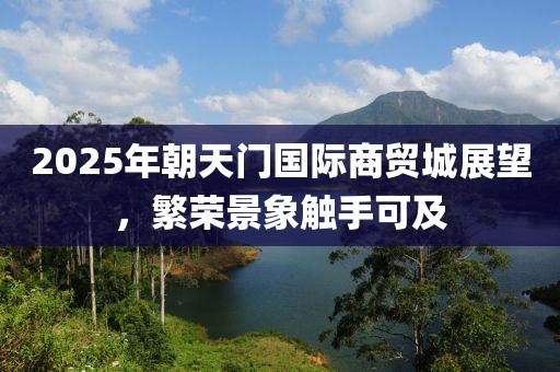 2025年朝天门国际商贸城展望，繁荣景象触手可及