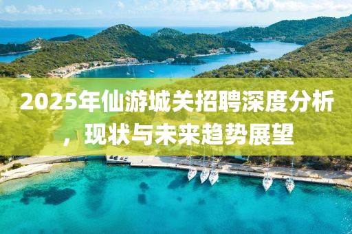 2025年仙游城关招聘深度分析，现状与未来趋势展望