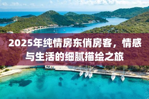 2025年纯情房东俏房客，情感与生活的细腻描绘之旅