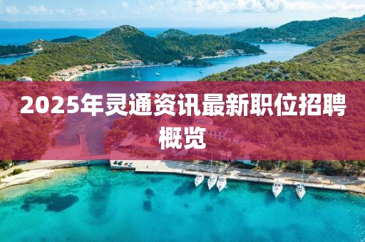 2025年灵通资讯最新职位招聘概览