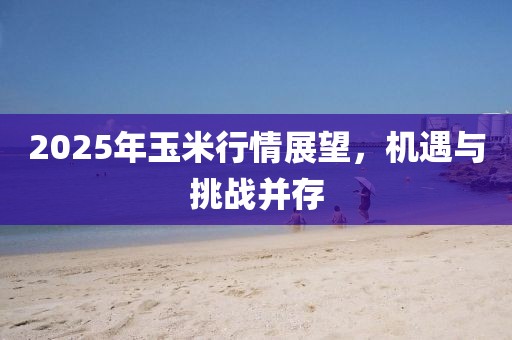 2025年玉米行情展望，机遇与挑战并存