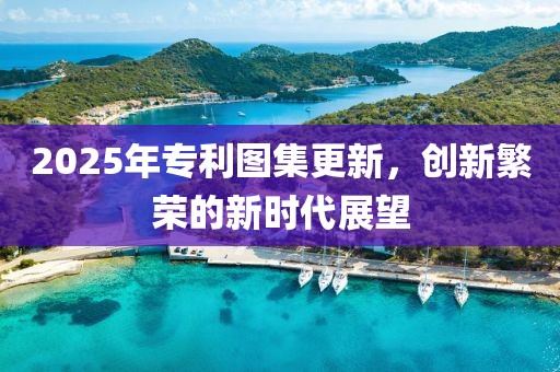 2025年专利图集更新，创新繁荣的新时代展望