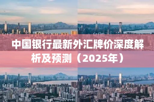 中国银行最新外汇牌价深度解析及预测（2025年）
