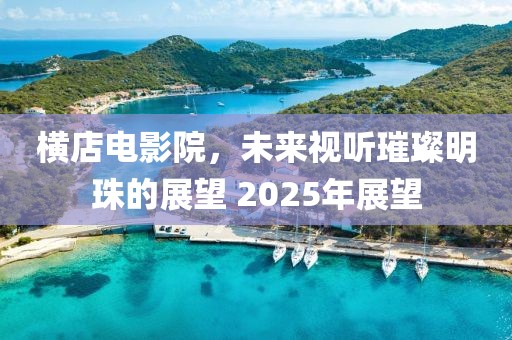横店电影院，未来视听璀璨明珠的展望 2025年展望