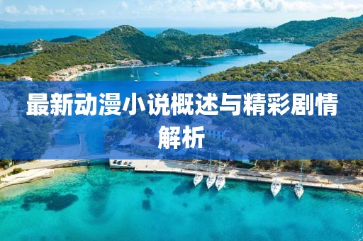 最新动漫小说概述与精彩剧情解析
