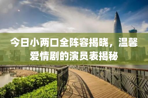 今日小两口全阵容揭晓，温馨爱情剧的演员表揭秘