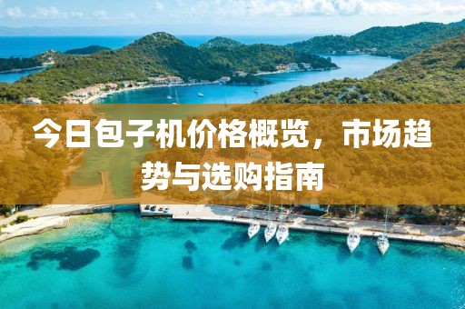 今日包子机价格概览，市场趋势与选购指南