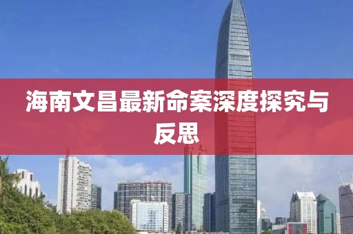 海南文昌最新命案深度探究与反思