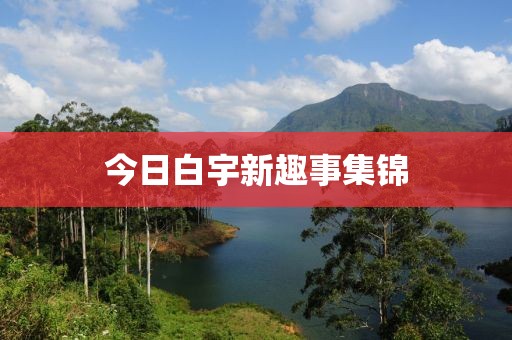 2025年4月 第359页