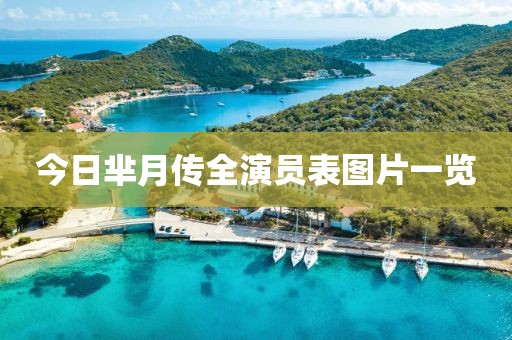 今日芈月传全演员表图片一览