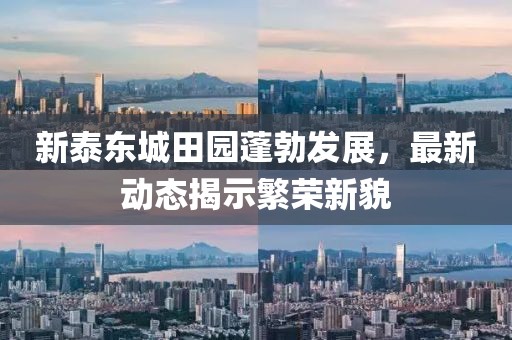 新泰东城田园蓬勃发展，最新动态揭示繁荣新貌