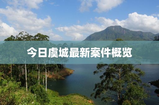 今日虞城最新案件概览