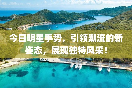 今日明星手势，引领潮流的新姿态，展现独特风采！