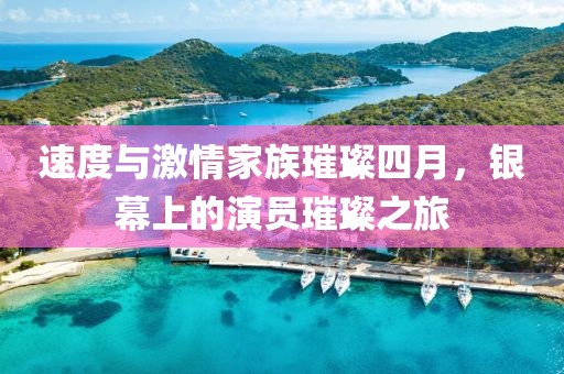 速度与激情家族璀璨四月，银幕上的演员璀璨之旅