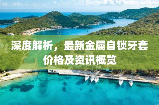 深度解析，最新金属自锁牙套价格及资讯概览