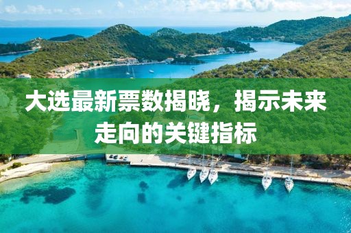 大选最新票数揭晓，揭示未来走向的关键指标