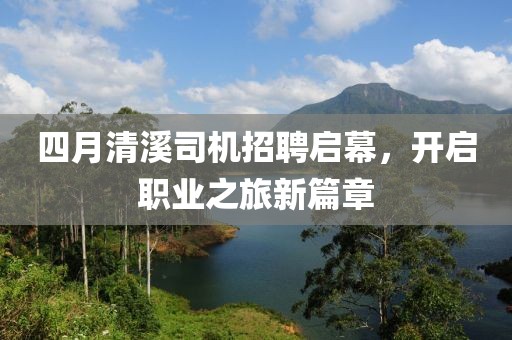 第215页