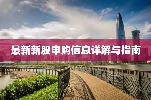 最新新股申购信息详解与指南