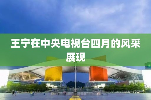 王宁在中央电视台四月的风采展现