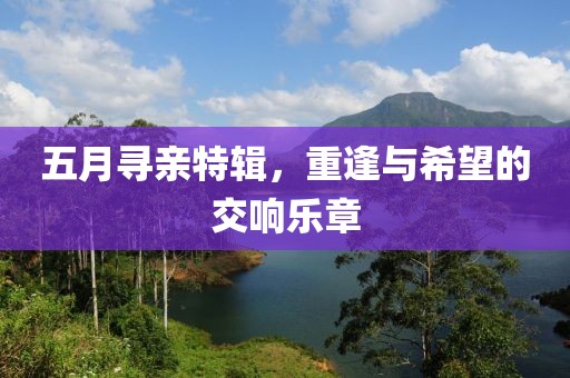 五月寻亲特辑，重逢与希望的交响乐章
