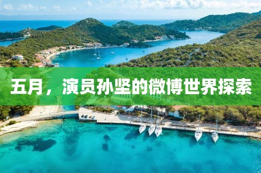 五月，演员孙坚的微博世界探索