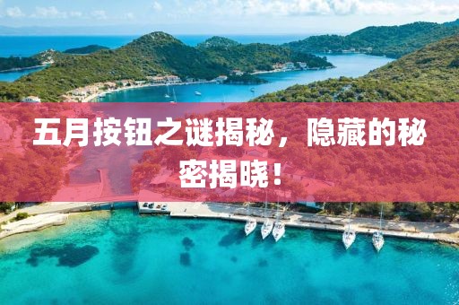 五月按钮之谜揭秘，隐藏的秘密揭晓！
