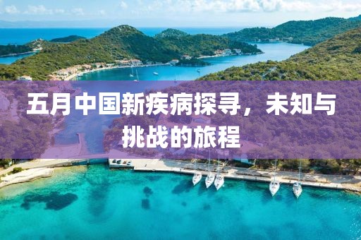五月中国新疾病探寻，未知与挑战的旅程
