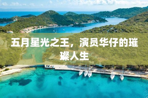 五月星光之王，演员华仔的璀璨人生