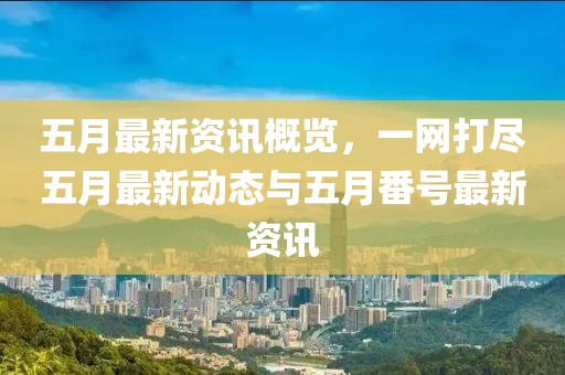 五月最新资讯概览，一网打尽五月最新动态与五月番号最新资讯