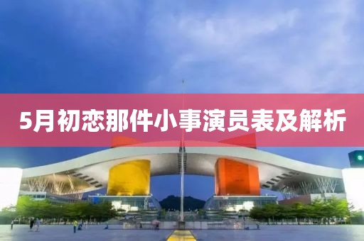 5月初恋那件小事演员表及解析