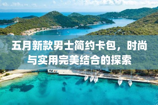 五月新款男士简约卡包，时尚与实用完美结合的探索