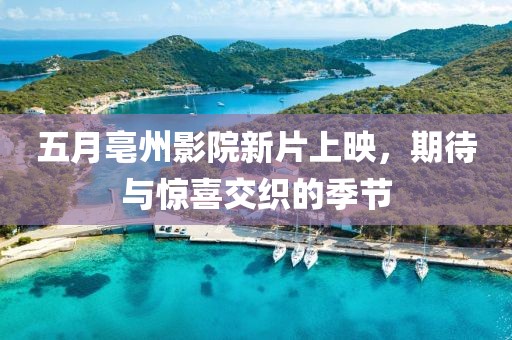 五月亳州影院新片上映，期待与惊喜交织的季节