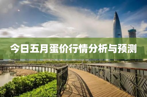 今日五月蛋价行情分析与预测