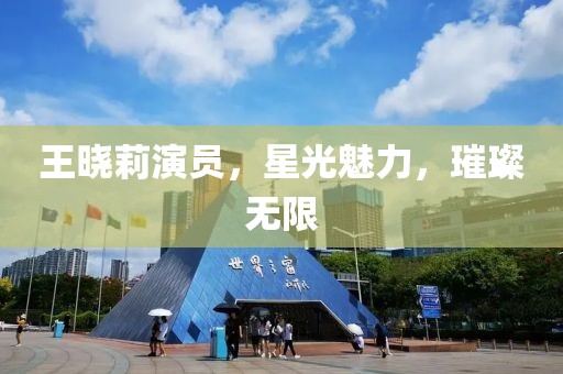 王晓莉演员，星光魅力，璀璨无限