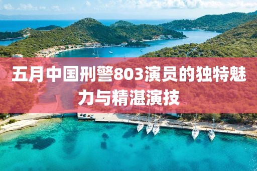五月中国刑警803演员的独特魅力与精湛演技