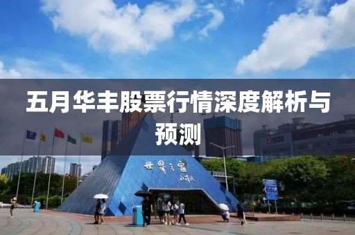 五月华丰股票行情深度解析与预测