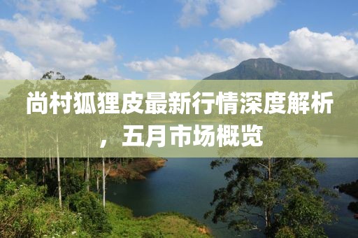 尚村狐狸皮最新行情深度解析，五月市场概览
