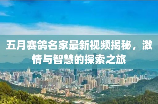 五月赛鸽名家最新视频揭秘，激情与智慧的探索之旅