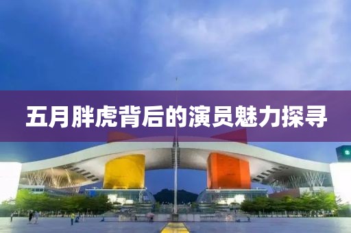 五月胖虎背后的演员魅力探寻