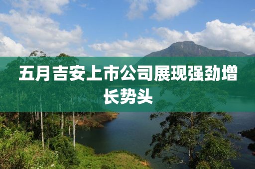 五月吉安上市公司展现强劲增长势头